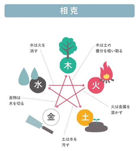 金剋木|気学 相生・相剋